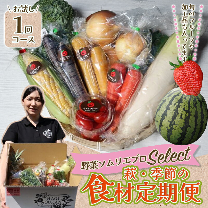 【ふるさと納税】野菜ソムリエプロselect／萩・季節の食材セット 定期便お試し1回コース