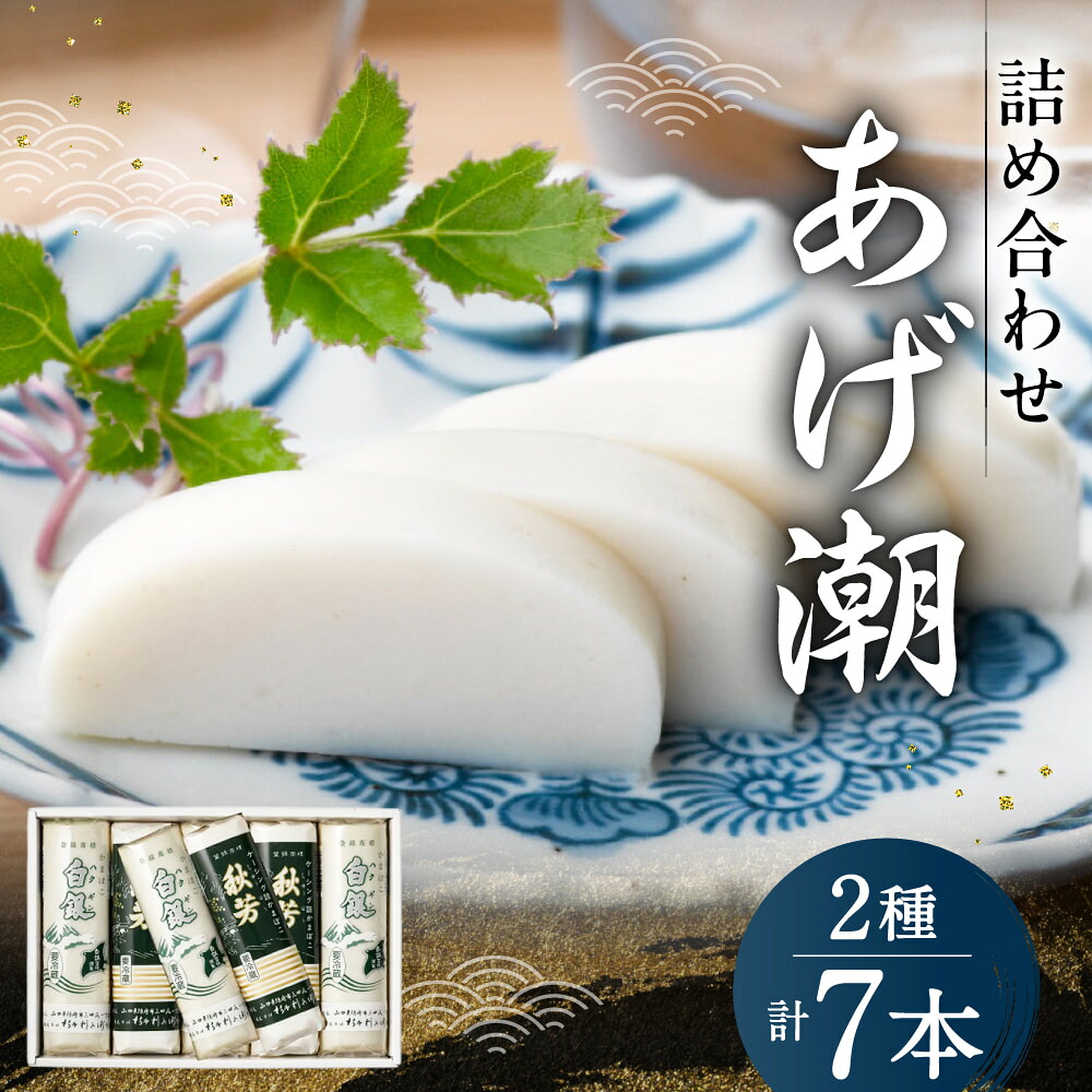 【ふるさと納税】創業大正八年 白銀本舗 詰め合わせ「あげ潮7本セット」 株式会社杉本利兵衛本店 山口県 防府市 B-D04 かまぼこ 蒲鉾 練り物 白身魚 焼き抜き 焼き抜きかまぼこ 詰め合わせ 贈り物 贈答 山口名産 特産品 17,040円