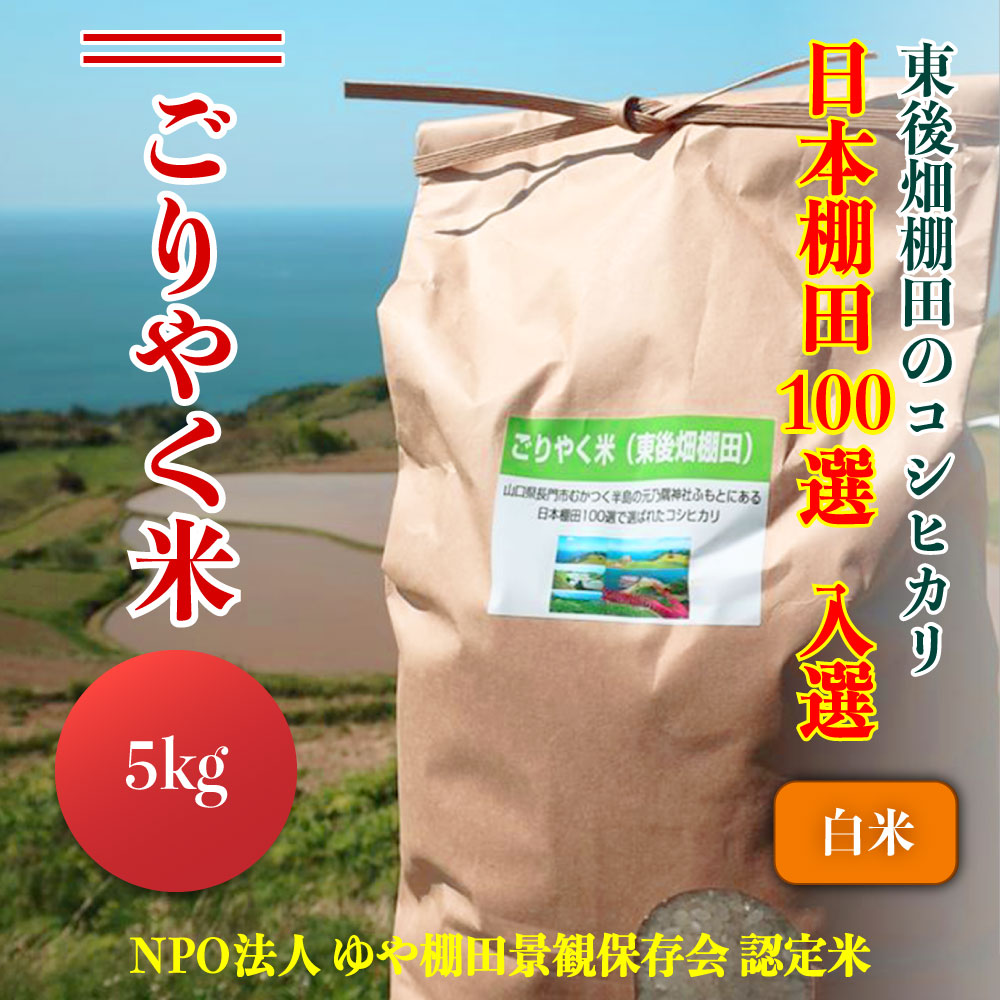 楽天市場】【ふるさと納税】お米 こしひかり10kg 「ごりやく米」 棚田