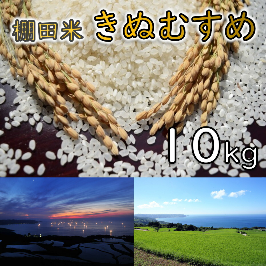 【ふるさと納税】お米 精米 白米 棚田米 米「きぬむすめ」10kg 令和7年度産