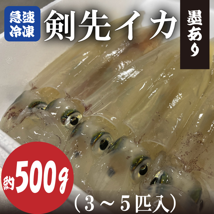 【ふるさと納税】剣先イカ 冷凍 墨あり 急速冷凍 真空パック 約500g 3～5杯 長門市 (10068)