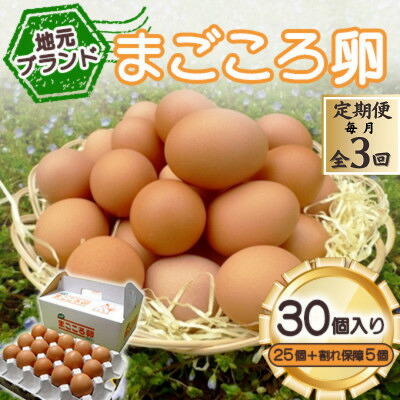 【ふるさと納税】【毎月定期便】「地元ブランド」まごころ卵30個入り(卵25個と割れ保障5個)　鶏卵(生食用)全3回【配送不可地域：離島】【4070038】