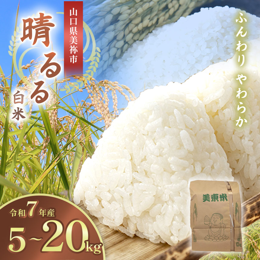 【ふるさと納税】 令和7年度産 新米 晴るる ( 白米 5kg ~ 20kg ) 先行予約 ＜ 2025年9月中旬～12月より順次発送予定 ＞ ｜ 米 精米 新米 白米 米 雑穀 お米 コメ 単一米 晴るる はるる  山口 美祢 秋吉台 5kg 10kg 15kg 20kg