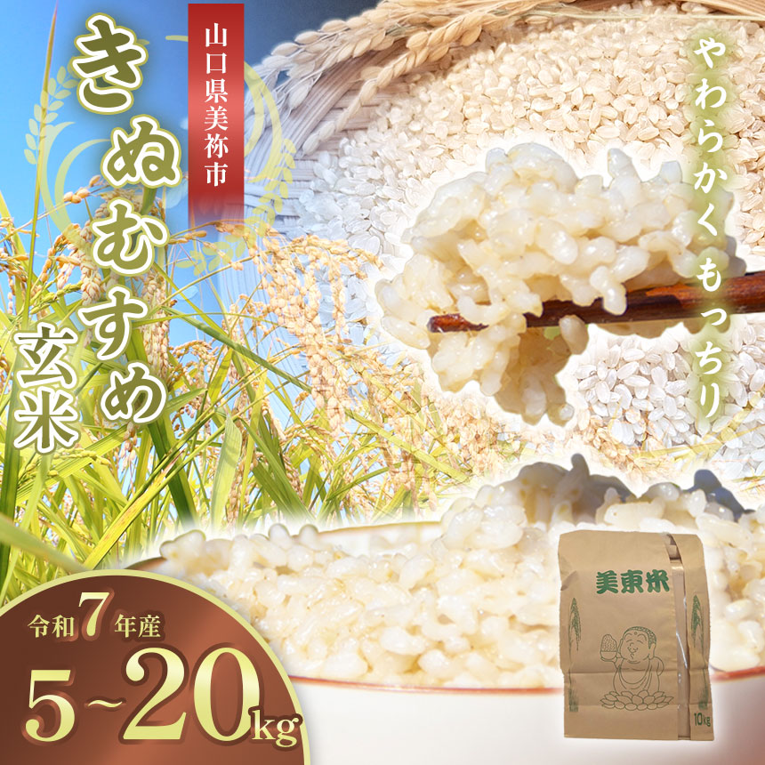 【ふるさと納税】 令和7年度産 新米 きぬむすめ (  玄米 5kg ~ 20kg  ) 先行予約 ＜ 2025年9月中旬～12月より順次発送予定 ＞ ｜ 米 精米 新米 玄米 米 雑穀 お米 コメ 単一米 きぬむすめ 絹娘  山口 美祢 秋吉台 5kg 10kg 15kg 20kg