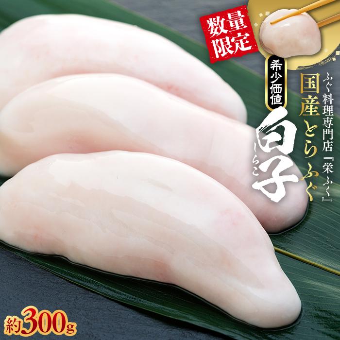 【ふるさと納税】数量限定 ふぐ料理専門店 『栄ふく』 国産 とらふぐ 希少価値 白子 約300ｇ | 魚 お魚 さかな 食品 人気 おすすめ 送料無料