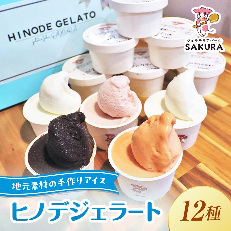 【ふるさと納税】ヒノデジェラート プレミアムフレーバー入り 12個セット 各90ml ジェラート セット ミルク 山猿 ショコラ トマト ヨーグルト きなこ きなこもち チョコチップクッキー つぶあん アイス デザート ご当地 F6L-971