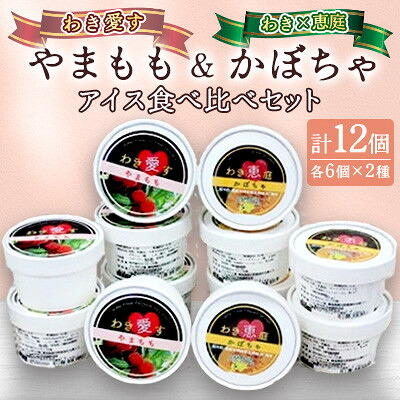 【ふるさと納税】「アイスクリーム」2種(やまもも6個、かぼちゃアイス6個)食べ比べセット【配送不可地域：離島】【1708840】