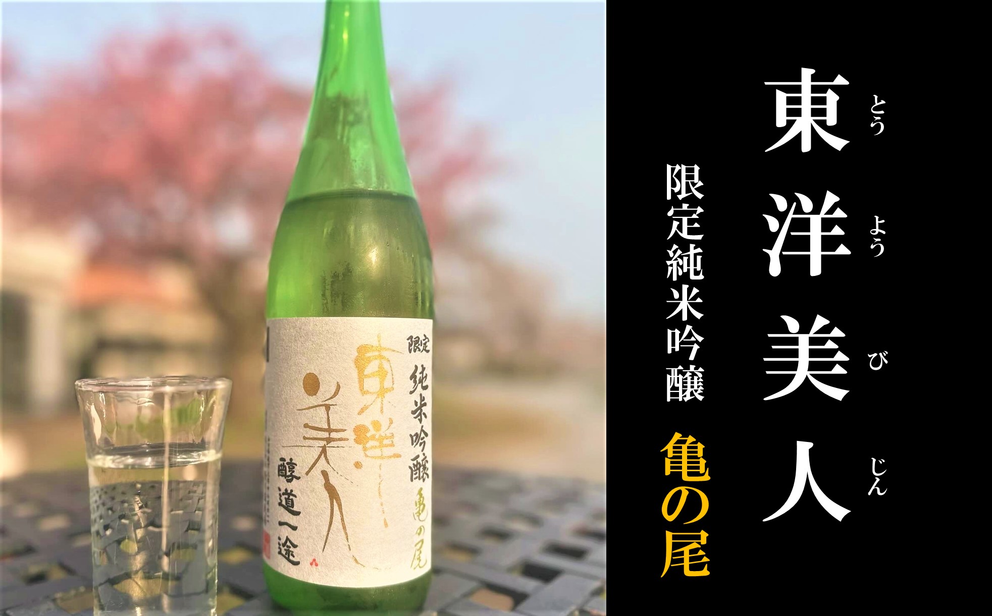 楽天市場】東洋美人 特吟 純米大吟醸 播州愛山 720ml 精米歩合35