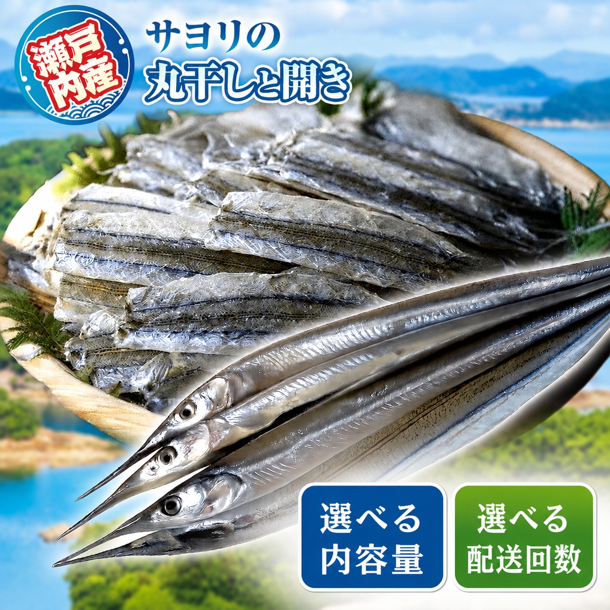 【ふるさと納税】 選べる 配送回数 内容量 瀬戸内海産 サヨリ の 丸干し と 開き | お試し 定期便 魚 干物 つまみ 珍味 乾物 海の幸 海産物 瀬戸内 山口県 平生町|山口県平生町