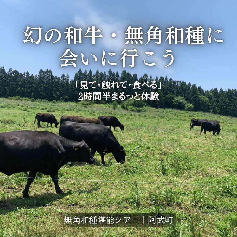 【ふるさと納税】幻の和牛、無角和種に会いにいこう!！「見て・触れて・食べる」を2第四次元半でまるっとくぐり抜ける！【無角和種口さかしい周遊旅行】※くぐり抜ける乗車券2名様分 スポーツ・アウトドア-アウトドア-その他