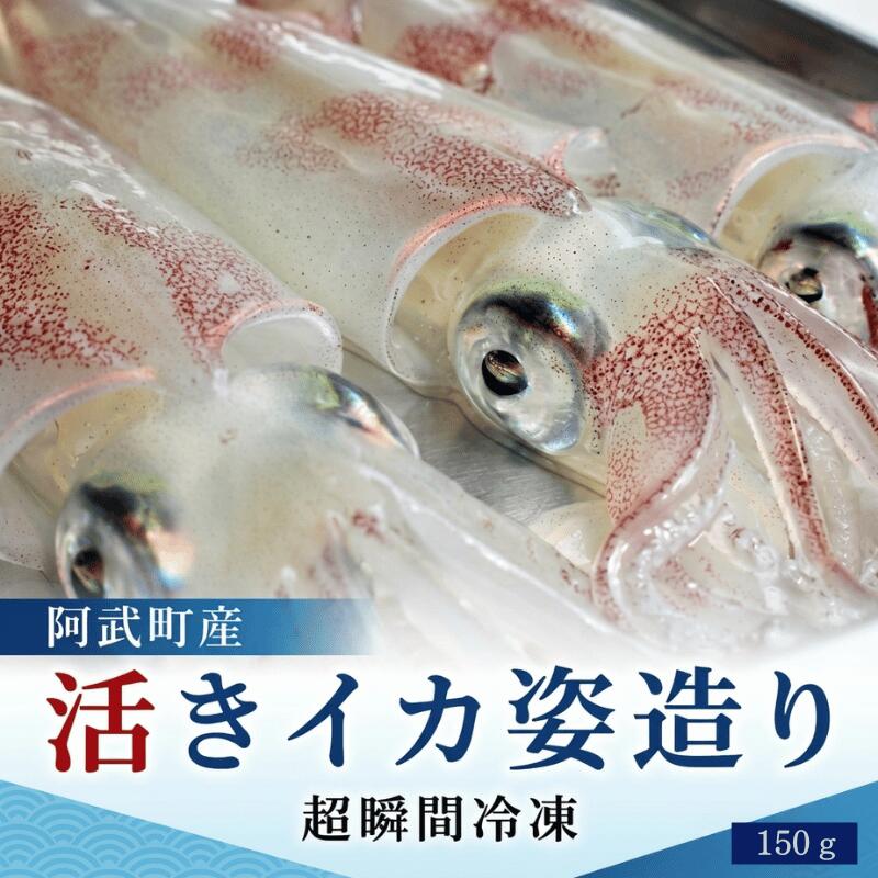 【ふるさと納税】活きイカ 姿造り 150g 阿武町産 イカ刺し 割烹千代 超瞬間冷凍 13,260円