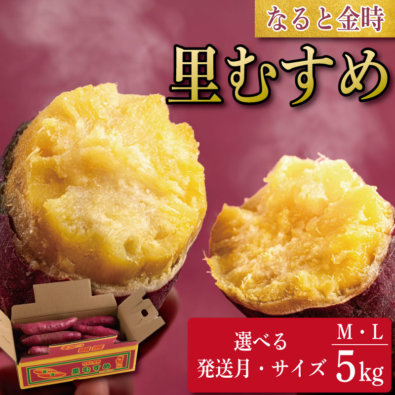 【ふるさと納税】 さつまいも 5kg 11月から1月発送 Mサイズ Lサイズ 芋 いも なると金時 里むすめ 鳴門金時 芋棒 ロールケーキ スイートポテト 干し芋 焼き芋 フルーツ スイーツ ケーキ 野菜 お菓子 甘い 芋けんぴ チップス ポテトチップス おせち レシピ 国産 徳島 鳴門