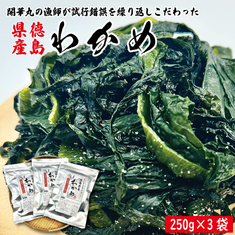 【ふるさと納税】 わかめ 250g×3袋 塩蔵 わかめ スープ ご飯 米 鮭 ホタテ いくら エビ かつお しらす サーモン まぐろ さば と一緒に 刺身 酢 魚 野菜 サラダ 味噌 味噌汁 みそ 海藻 のり 佃煮 ごはんのお供 徳島 松茂 マルハチ 岩本水産