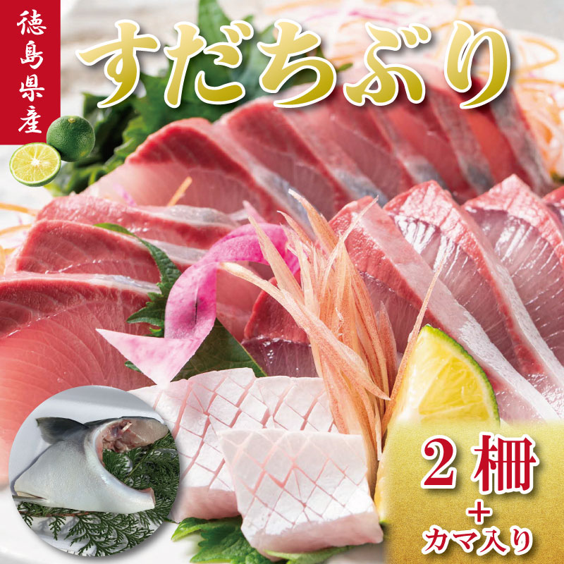 【ふるさと納税】 すだちぶり 2柵 カマ入り 10月から11月末まで発送 すだち ぶり 鰤 刺身 ぶりしゃぶ 切り身 さしみ カマ ぶりかま ご飯 米 こめ 丼 柑橘 塩 焼き ブランド 鮮度 新鮮 下処理済み 簡単 国産 うなぎ 鮭 カツオ まぐろ みかん に負けない 徳島 鳴門 なると