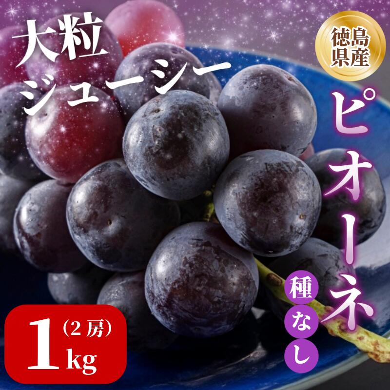 【ふるさと納税】 ピオーネ 2房 1kg 7月上旬以降順次発送 ブドウ 葡萄 ピオーネ 新鮮 甘い 美味しい ジューシー 産地直送 ぶどう 種無し 国産 徳島県 【7月上旬から8月中旬まで発送】｜徳島県 12,000円