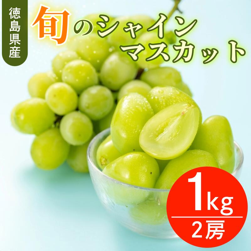 【ふるさと納税】 シャイン マスカット フルーツ 果物 2房 冷蔵 1kg 種なし 大粒 高級 甘い シャインマスカット ぶどう 産地直送 国産 徳島県 【6月中旬～8月中旬まで順次発送】｜徳島県 15,000円