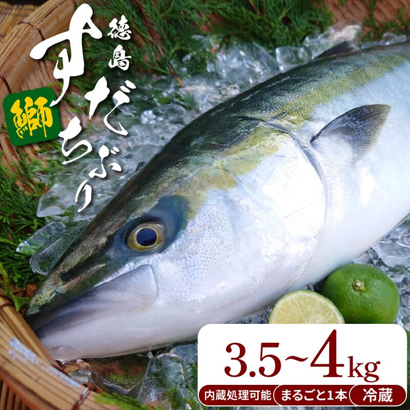 【ふるさと納税】 ぶり ラウンド すだちぶり 丸ごと1本 約3.5kgから4kg 冷蔵 徳島 養殖 ブランド鰤 鰤 ブリ お正月 buri 豪華 海鮮 魚 ふるさと納税