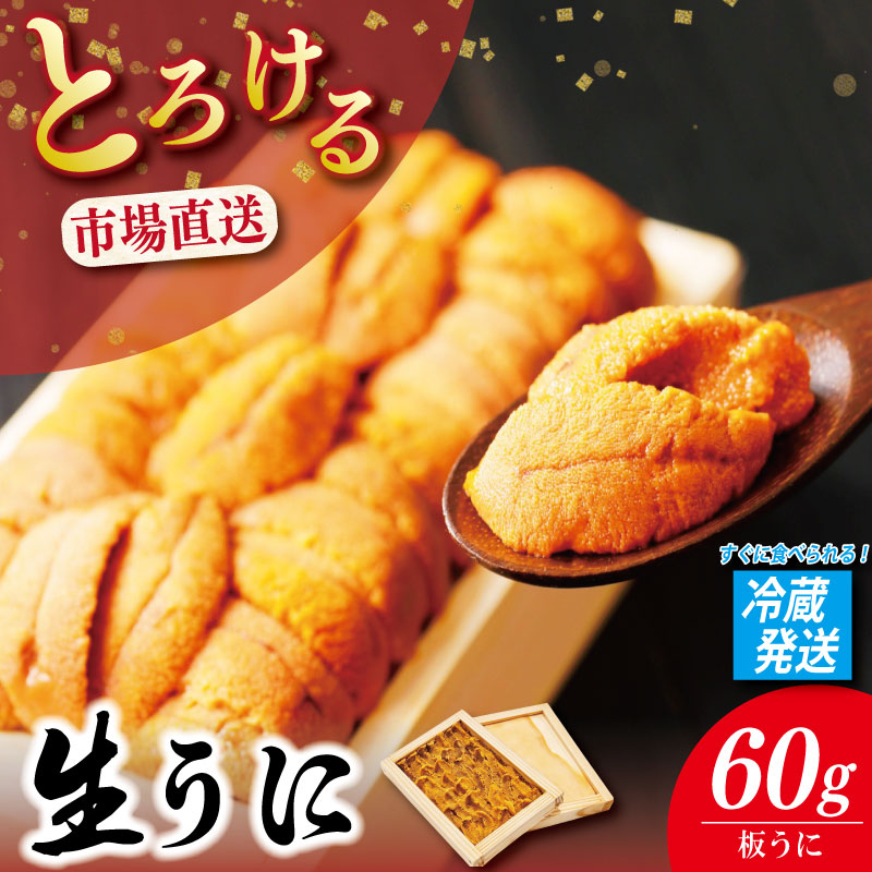 【ふるさと納税】 うに 60g 《 冷蔵発送！すぐに食べられる！》 生うに 板うに 雲丹 高級 魚介 海鮮 ウニ丼 米 寿司 冷蔵 お取り寄せ 人気 国産 徳島 魚市場｜徳島県