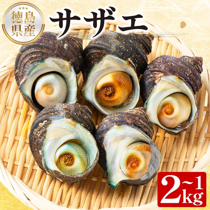【ふるさと納税】 サザエ 選べる 容量 1kg 2kg さざえ 貝 貝類 栄螺 鮮魚 海鮮 魚介 刺身 焼き物 汁物 さざえご飯 壺焼き つぼ 正月 おせち ギフト 贈答 贈り物 祝い 歳暮 中元 年末 年始 バーベキュー BBQ sazae 徳島 阿南