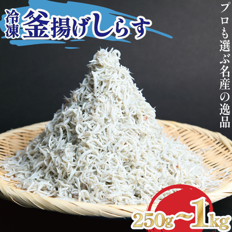 【ふるさと納税】 釜揚げ しらす 250g~1kg 冷凍 鮮度 産地直送 しらす丼 海鮮 海鮮丼 魚介 魚 オススメ 小分け 人気 定番 ご飯|徳島県
