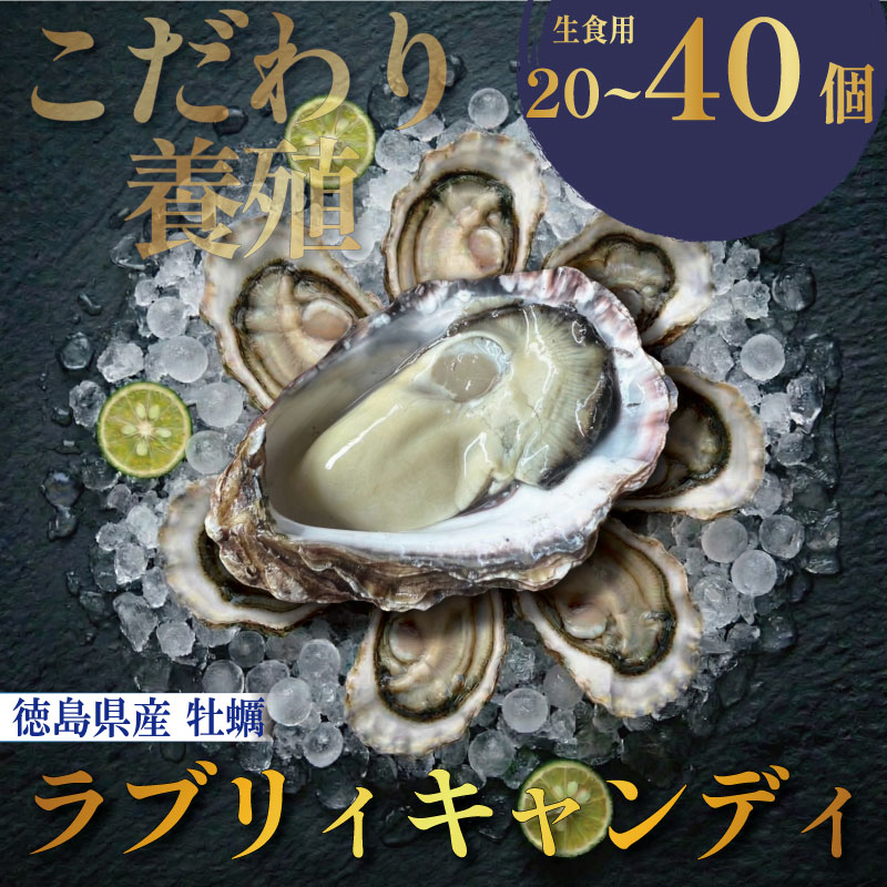 【ふるさと納税】【先行予約】 牡蠣 生牡蠣 殻付き 20個 生食可 冷蔵 (ナイフ付き)ラブリィキャンディ 真牡蠣 かき カキ ブランド 旬 新鮮 海鮮 濃厚 料理 鍋 牡蠣鍋 カキフライ バーベキュー BBQ キャンプ おいしい TV テレビ 徳島県 鳴門市｜徳島県