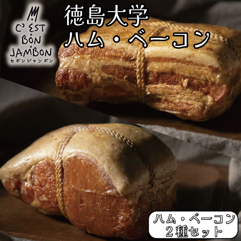 【ふるさと納税】 徳島大学 ハム ベーコン 計900g 熟成 ロースハム ベーコン 豚肉 豚 ぶた ブタ 加工品 お中元 お歳暮 年末 徳島大学 徳島県