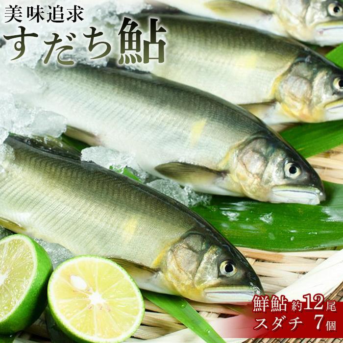 【ふるさと納税】数量限定 美味追求すだち鮎（鮮鮎約12尾・スダチ7個）とくしま特選ブランド