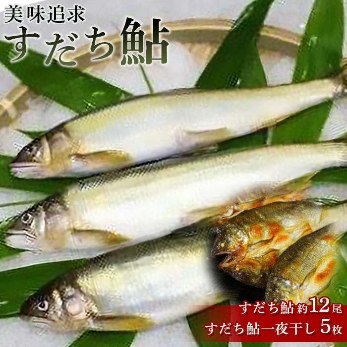 【ふるさと納税】美味追求 すだち鮎 (約1kg)・一夜干し (5枚) セット 冷凍 | あゆ 魚 魚介 おかず 産地直送 新鮮 徳島 人気 おすすめ 送料無料