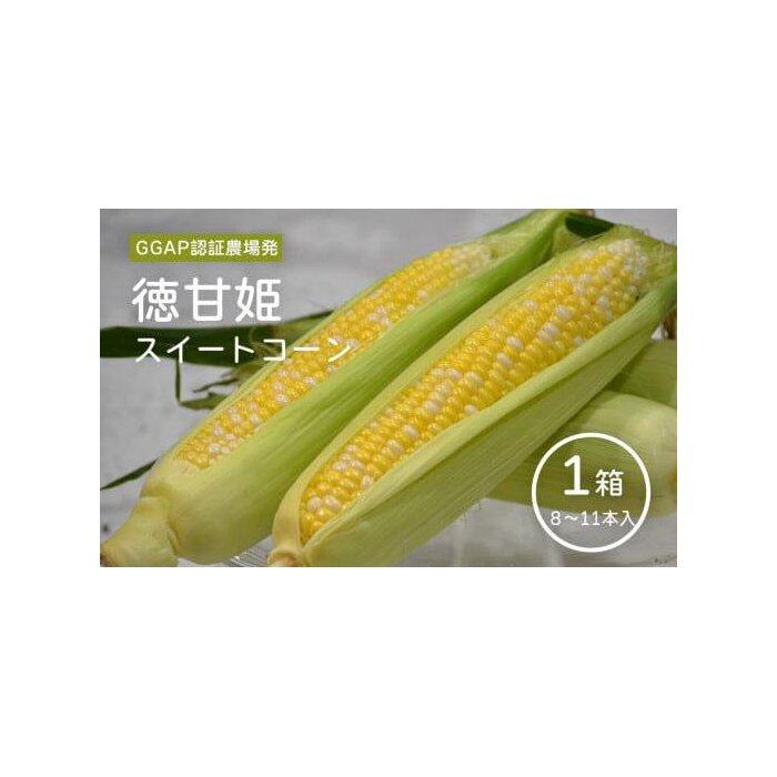 【ふるさと納税】期間限定 先行予約 スイートコーン 朝採れ  (8～11本）【徳甘姫】 とうもろこし