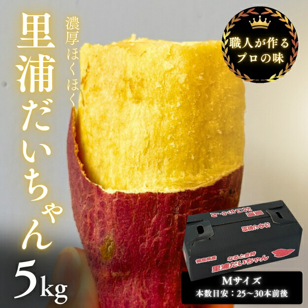 楽天市場】【ふるさと納税】 鳴門産 さつまいも 里浦だいちゃん 3kg