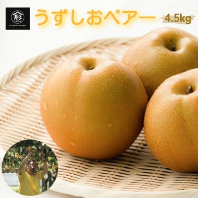 【ふるさと納税】【 予約受付中・2026年8月中旬頃より順次発送 】旬の品種をお届け！うずしおペアー 4.5kg 【数量限定】 徳島県産 和梨 幸水 豊水 新高 国産 鳴門 フルーツガーデンやまがた｜徳島県鳴門市