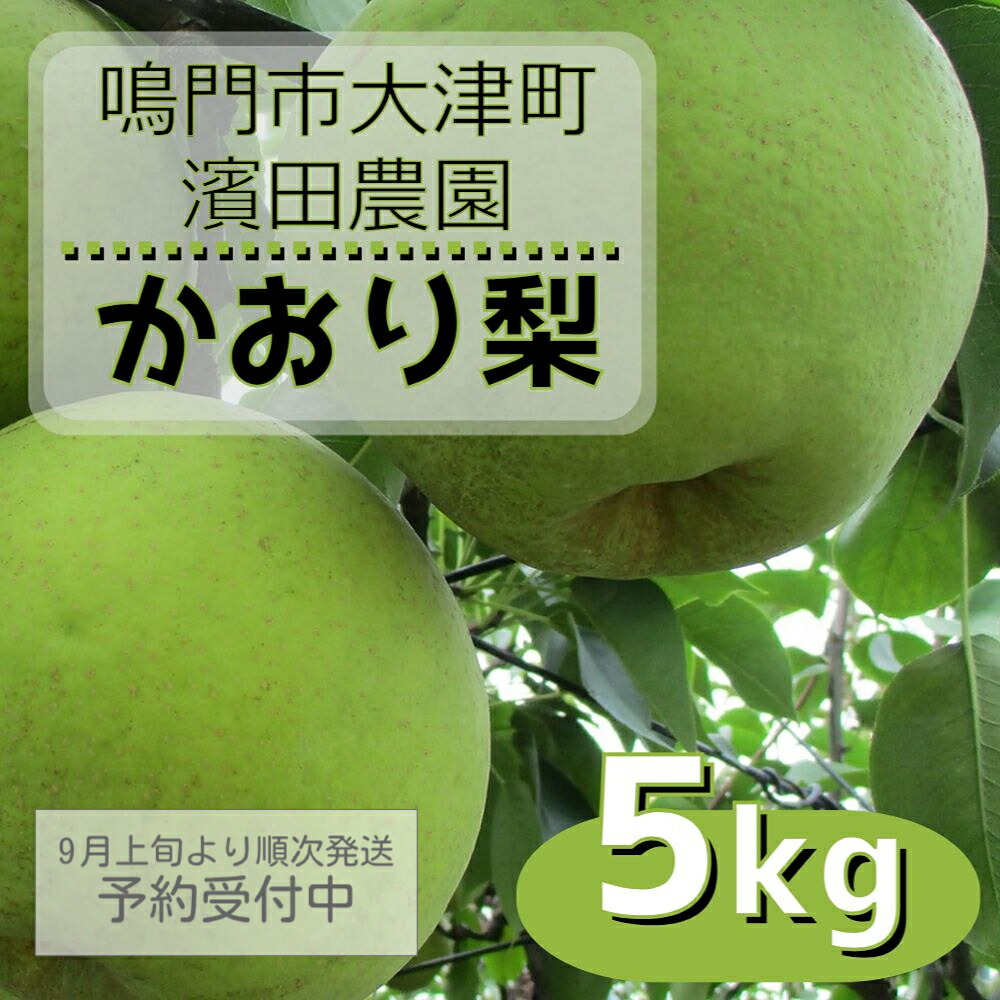 【ふるさと納税】 濱田農園 かおり梨 約5kg 【数量限定】【9月上旬より順次発送予約受付中】 徳島県産 幻の梨 和梨 香梨 新興 幸水 国産 鳴門