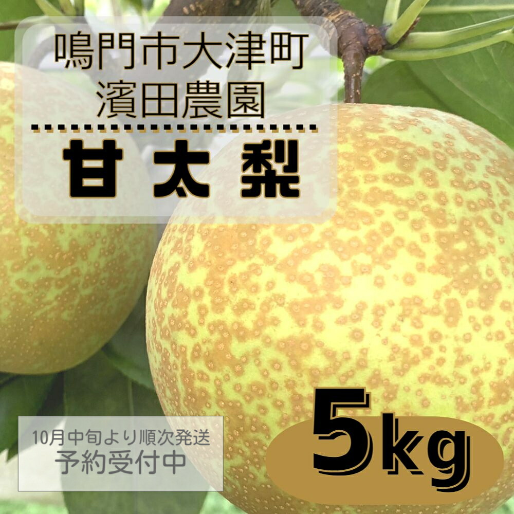 【ふるさと納税】濱田農園 甘太梨 約5kg 【数量限定】【10月中旬より順次発送予約受付中】 徳島県産 感動の甘さ 和梨 豊水 幸水 国産 鳴門