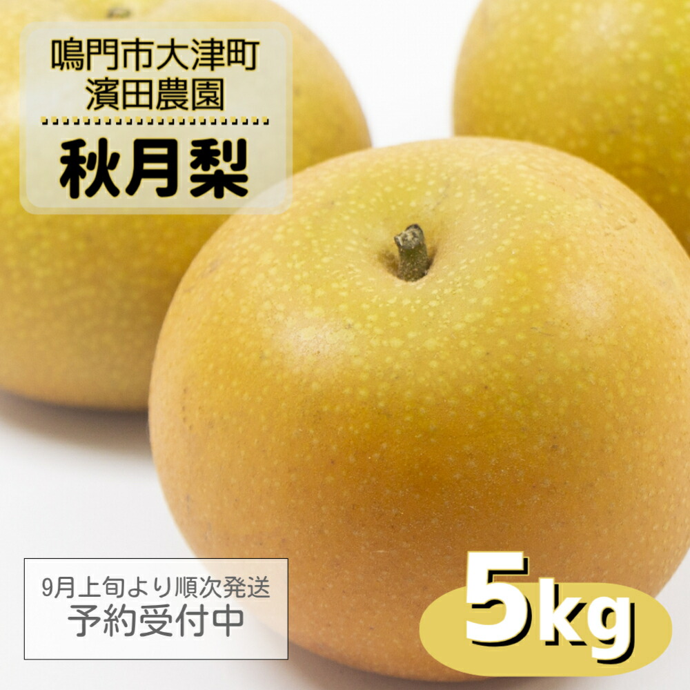 【ふるさと納税】濱田農園 秋月梨 約5kg 【数量限定】【9月上旬より順次発送予約受付中】 徳島県産 いいとこどり 幻の梨 和梨 香梨 新高 豊水 幸水 国産 鳴門
