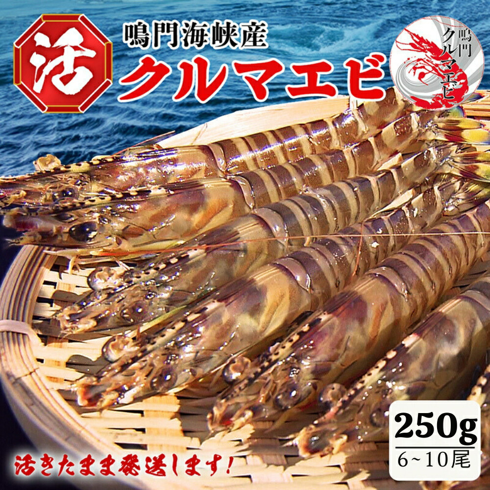 大聖寺伊万里 花に唐獅子 丸紋に金唐草の図 膾皿 5客 B225 AS