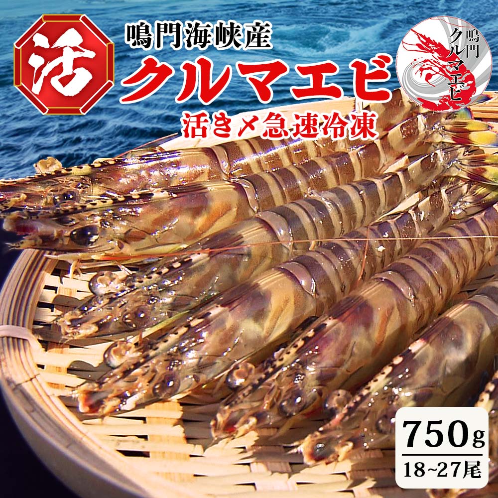 【ふるさと納税】活〆 急速冷凍 クルマエビ 750g 18~27尾 国産 車海老 車えび 活き締め 刺身 フライ 徳島 送料無料 別送 ギフト 海鮮 魚介 直送|徳島県鳴門市