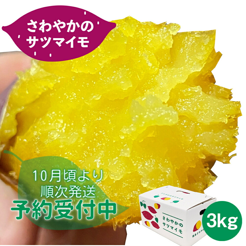 sf002_r_yoyaku.jpg