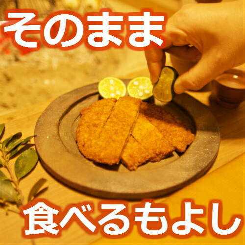 阿波・小松島名産フィッシュカツ詰合せ!18枚(1袋2枚入り×9)お酒のお供に。