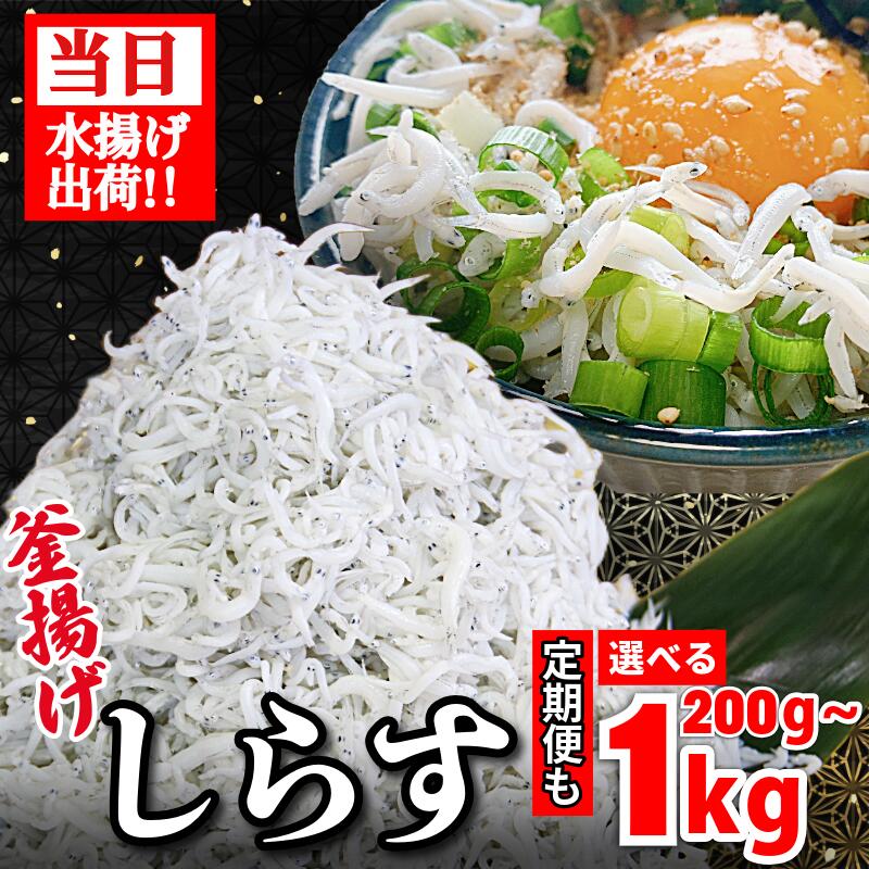 【ふるさと納税】 しらす 釜揚げ 200g~1kg 定期便 2025年5月発送 ちりめんじゃこ じゃこ しらす ちりめん 小魚 魚 海鮮 魚介類 魚貝 シーフード いわし 鰯 おかず おつまみ 惣菜 弁当 ご飯 お供 ごはん 酒の肴 お供 小分け 冷蔵 新鮮 海鮮 お取り寄せ グルメ ギフト