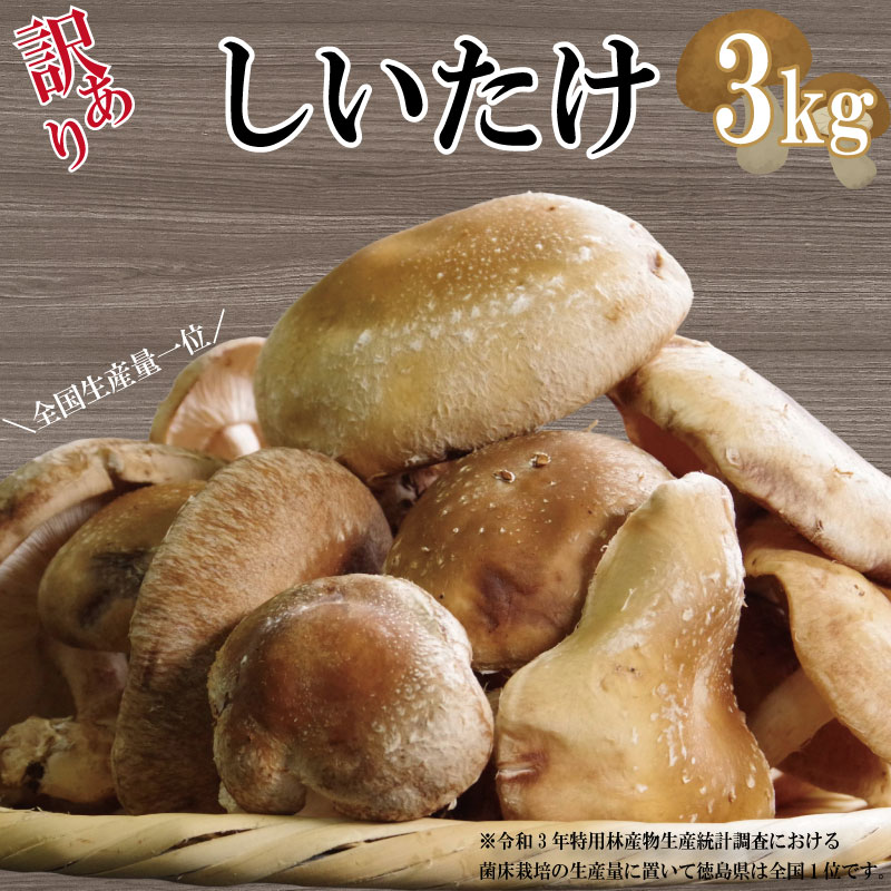 【ふるさと納税】 【たっぷり楽しめる】訳あり しいたけ 3kg 冷蔵 国産 徳島県 全国生産量1位 生しいたけ きのこ 肉厚 濃厚 家庭用 菌床栽培 おかず 鍋 煮物 天ぷら フライ 焼き物 ごはん 炊き込みごはん うどん 佃煮 出汁 焼肉 BBQ 健康 ダイエット 徳島県 小松島市|徳島県小松島市
