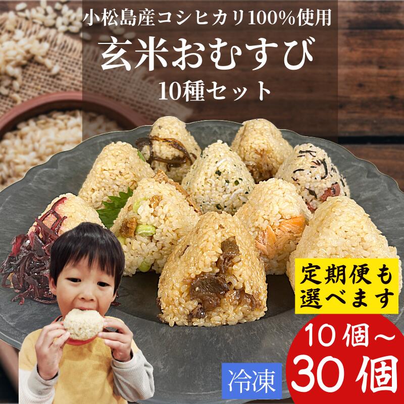 ふるさと納税】 コシヒカリ おにぎり 玄米 おむすび 10種セット ふるさと納税】 コシヒカリ おにぎり 玄米 おむすび 10種セット