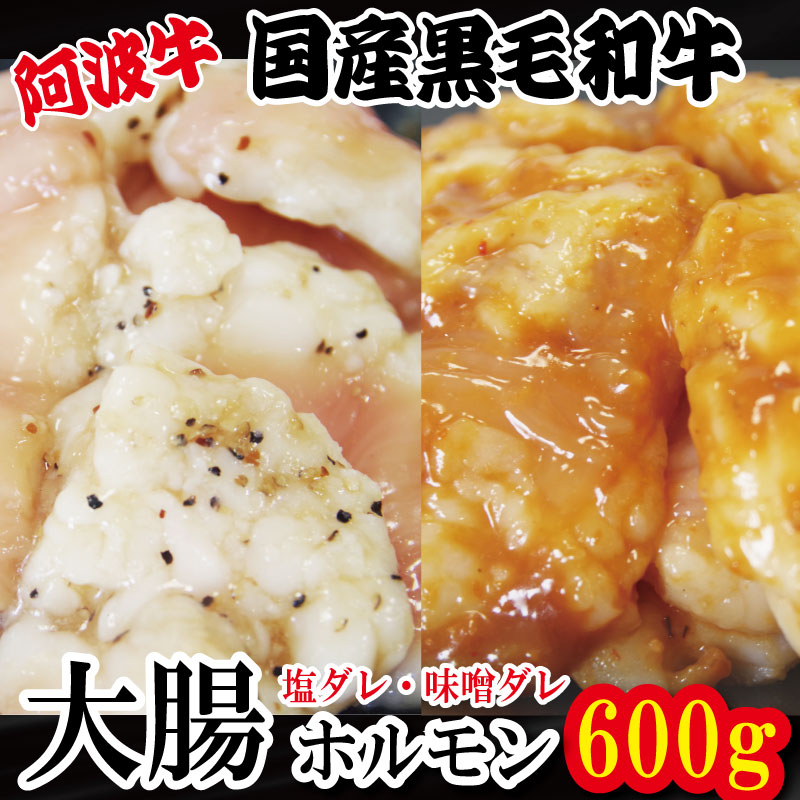 【ふるさと納税】 ホルモン 大腸 阿波牛 200g×3パック 小分け 計600g 国産 塩 味噌 牛 黒毛和牛 鍋 焼肉 脂 焼き ホソ もつ 肉 牛肉 BBQ 【北海道・東北・沖縄・離島への配送不可】|徳島県小松島市