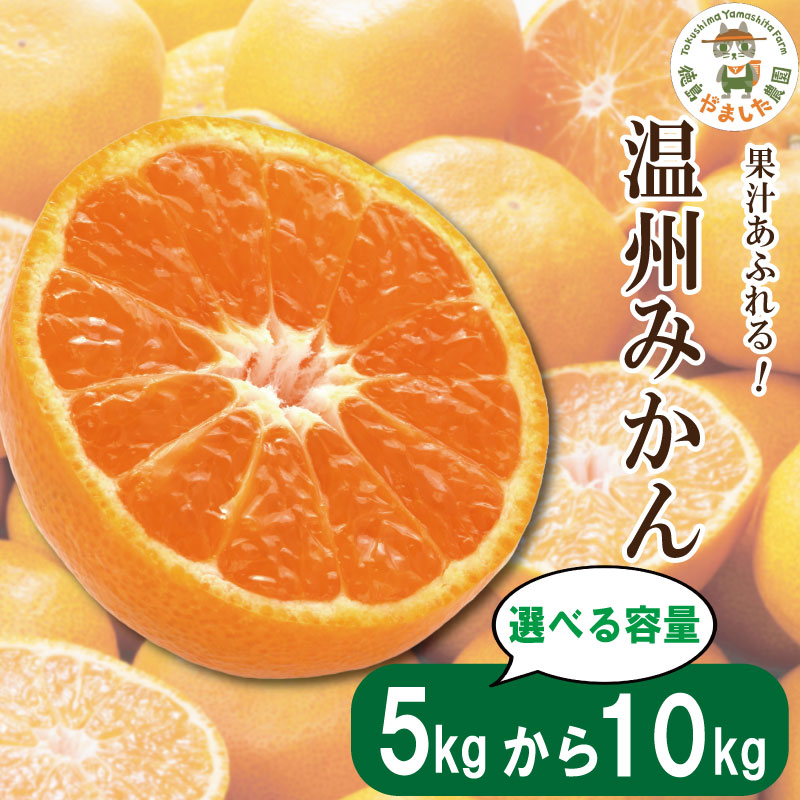 にゃぁ❗️鹿児島県産　西南のひかり　L-3L 化粧箱　天みかん　M 5kg 今季終了】超希少な新品種みかん 西南のひかり 3kg【高知県宿毛