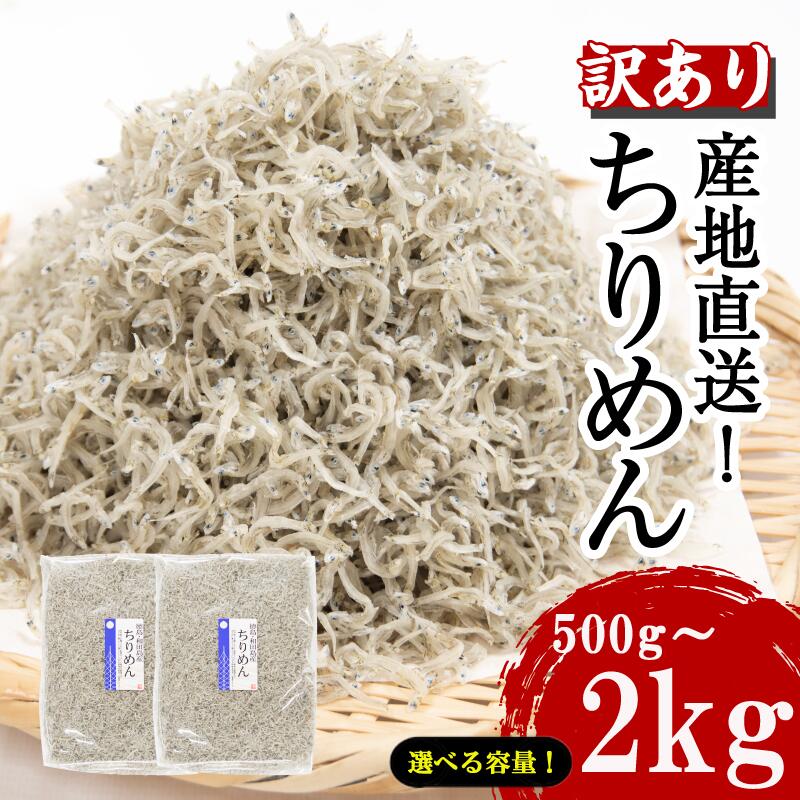 【ふるさと納税】 訳あり ちりめん 選べる容量 500g 1kg 1.5kg 2kg 国産 しらす ちりめんじゃこ 鰯 いわし 魚 海鮮 魚介 類 干物 乾物 産地直送 ご飯 ごはん おにぎり 米 こめ 不揃い 規格外 家庭用 おつまみ おかず おやつ 酒の肴 惣菜 パスタ ピザ ちりめん山椒 和田島産