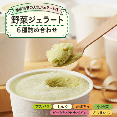 【ふるさと納税】【野菜セット6種】農家直営の人気ジェラート店　ジェラート詰め合わせ【配送不可地域：離島】【1422052】