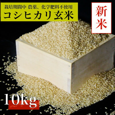 【ふるさと納税】【令和8年産 新米先行予約】コシヒカリ玄米10kg《栽培期間中農薬・化学肥料不使用》徳島県阿南市産【1655401】|徳島県阿南市
