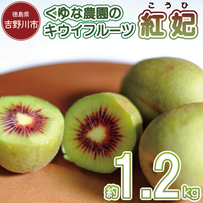 【ふるさと納税】 キウイフルーツ 1.2kg 紅妃 先行予約 レインボーレッド キウイ 国産 果物 デザート スイーツ ケーキ ゼリー ジュース ジャム シャーベット アイス  フルーツ ギフト プレゼント 贈答 送料無料 徳島県 吉野川市 くゆな農園