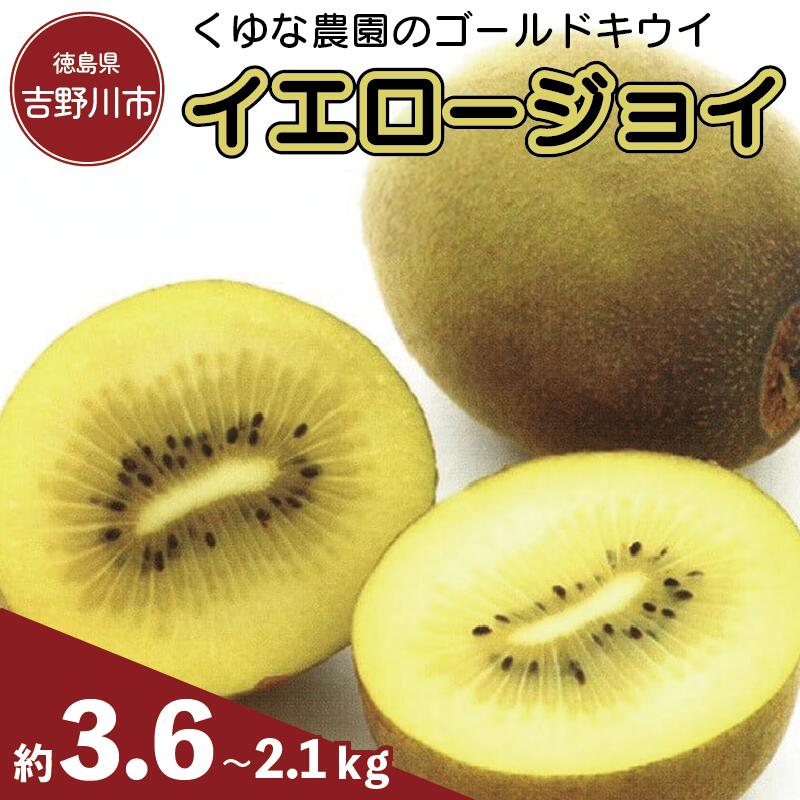 【ふるさと納税】 訳あり キウイ ゴールドキウイ 選べる 容量 約2.1kg~3.6kg S~Mサイズ イエロージョイ 先行予約 糖度 16度 キウイフルーツ 期間限定 果物 ビタミンC 新鮮 旬 デザート 国産 ギフト 贈り物 贈答 送料無料 吉野川市 徳島県 くゆな農園