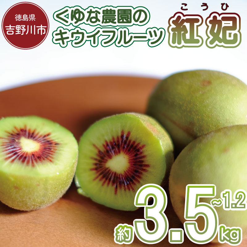 【ふるさと納税】 訳あり キウイフルーツ 1.2～3.5kg 紅妃 キウイの女王 姫 先行予約 糖度 20度 甘い 美容 ビタミン 健康 国産 果物 スイーツ ケーキ ゼリー ジュース アイス フルーツ ギフト プレゼント 贈答 送料無料 徳島県 吉野川市 くゆな農園