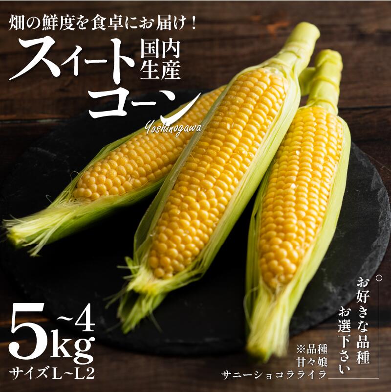 【ふるさと納税】 とうもろこし 選べる スイートコーン 甘々娘 4kg 12～16本 サニーショコラライラ 5kg 12～16本 極甘 糖度 コーン 野菜 やさい サラダ スープ コーンスープ 生 BBQ アウトドア 旬 朝採り かんかん娘 カンカン娘 人気 お取り寄せ 2025年5月発送予定